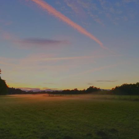 Ferienwohnung Gestuet Von Erden Haßloch Exteriér fotografie